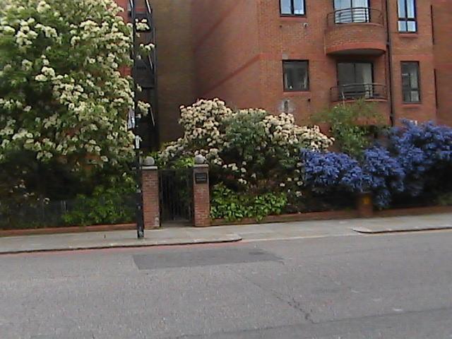 London Kensington & Chelsea 2 Bed Zone 1 Aprt Διαμέρισμα Εξωτερικό φωτογραφία
